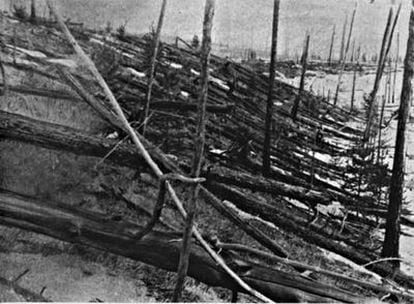 Una imagen capturada en la expedición realizada en 1927 por el científico Leonid Kulik, muestra árboles carbonizados en la devastada Tunguska
