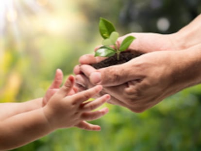 Con este Máster en Agricultura Ecológica entregarás un mundo mejor. ¡Infórmate!