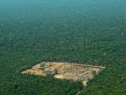 Área desforestada en el Amazonas, en septiembre de 2017.