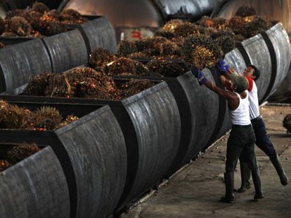 Trabajadores en una planta de aceite de palma en Malingping, Indonesia.