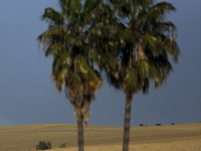 Una torre solar de la planta de Abengoa de Sanlucar la Mayor