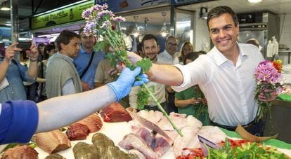 El secretario general del PSOE, Pedro Sánchez, este sábado durante la visita que ha realizado hoy Mercat Nou, en Ibiza.