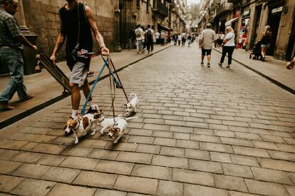 Calle peatonal de Barcelona.