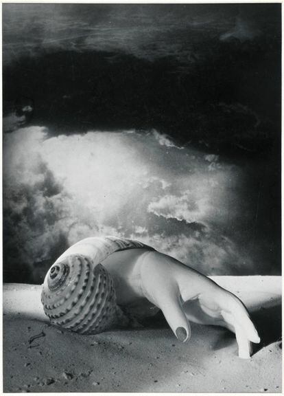 Mano saliendo de una concha, 1934