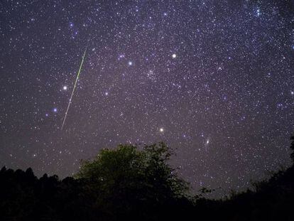 Leónidas 2019: dónde y cuándo ver la lluvia de estrellas de noviembre