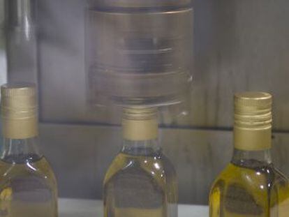 Botellas en una planta de envasado de aceite en Sevilla. 