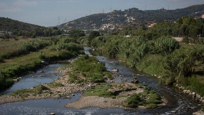El río Besòs entre Montcada y Reixac y Santa Coloma de Gramenet, en una imagen de archivo.