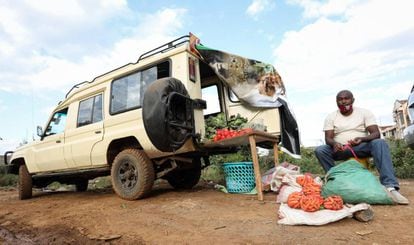 Covid-19: Madrugar para vender fruta en lugar de buscar leones | Planeta  Futuro | EL PAÍS