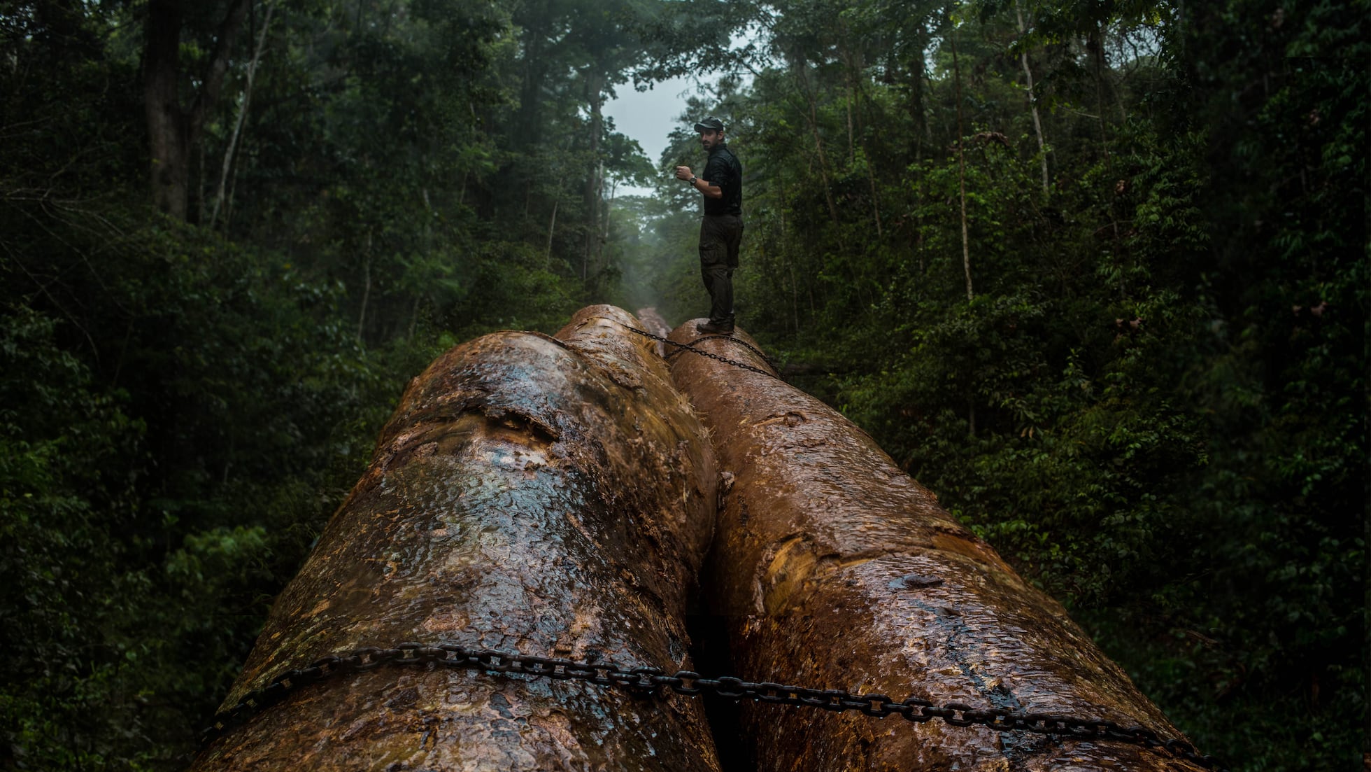 La batalla sin fin de los guardianes de la selva contra la mafia maderera  en la Amazonia peruana | Clima y Medio Ambiente | EL PAÍS