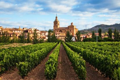 Con su histórica sede en el barrio de la Estación de Haro, ciudad donde se congrega el mayor número de bodegas de La Rioja, este museo de la localidad de Briones permite hacer un viaje en el tiempo desde la época romana hasta hoy con el vino como hilo conductor. La visita acaba con una cata de vinos. <br><br> <i>Haro está a 37 minutos de Logroño.</i>