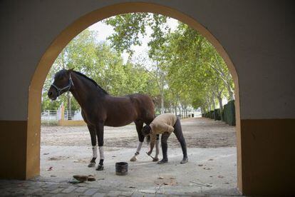 Cuadra de caballos de Antonio L&oacute;pez, en Alcobendas (Madrid)