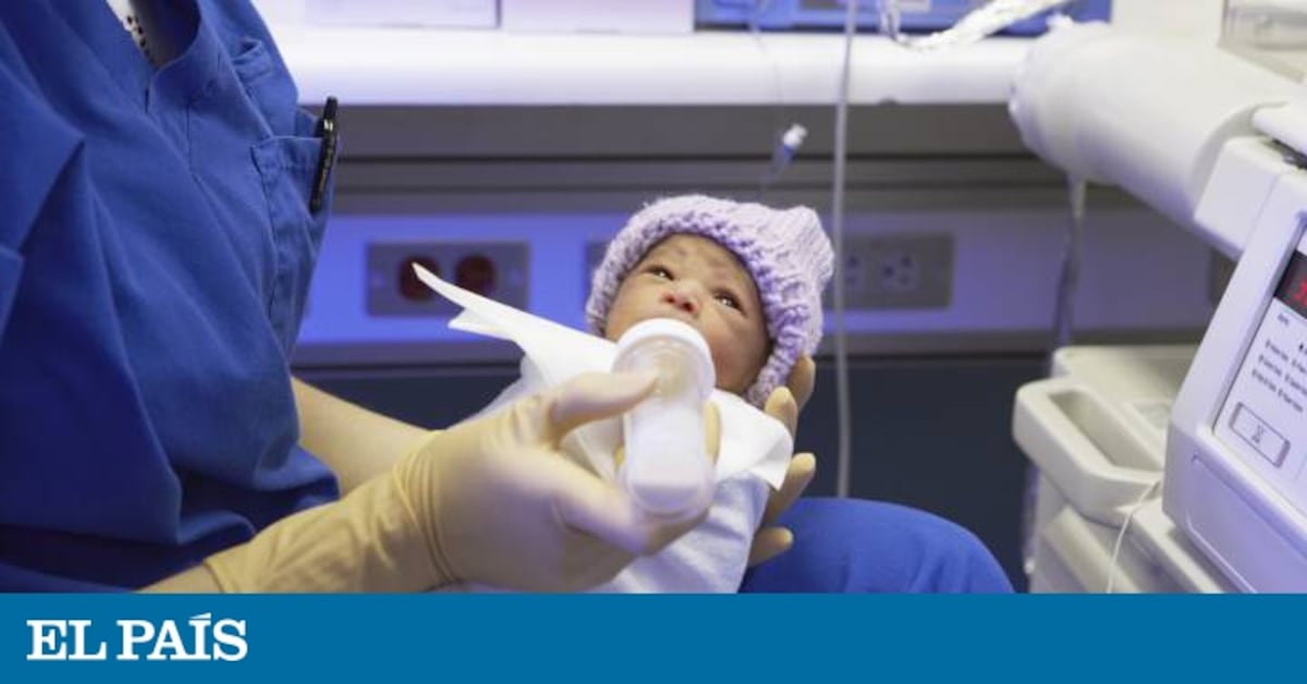 La Salud De Los Prematuros Mejora Con El Contacto Humano, Aunque Sea ...