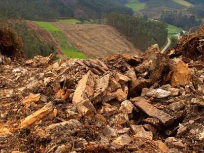 Parapeto destrozado por la apertura de un camino para permitir el paso de maquinaria pesada en el Castro do Monte da Arca (municipio de Mondoñedo, Lugo).