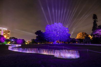 'River of Light', otra de las instalaciones luminosas en el Real Jardín Botánico con motivo de la XI edición del festival Vivid Sydney. Como indica su nombre, es un río de luz que tiene más de 55 metros de largo. <br></br> Más información: <a href="https://www.vividsydney.com" target="_blank">vividsydney.com</a>
