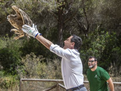 Juan Manuel Moreno, esta mañana, durante la suelta en Chiclana de un ejemplar de búho real.