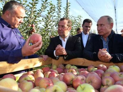 Los máximos dirigentes rusos, en una empresa agrícola en Stávropol.
 