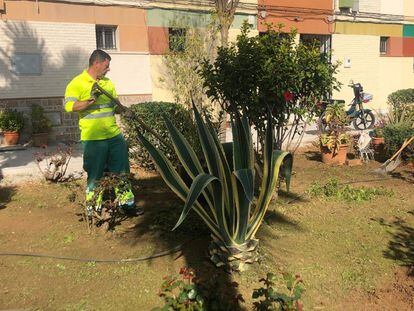 Un trabajador cuidando un jardín en Utrera (Sevilla).