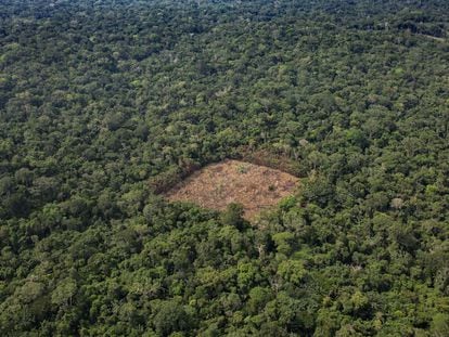 Vista aérea de un bosque colombiano.