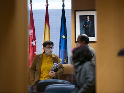 Encarnación Burgueño, en la Asamblea de Madrid, este viernes.