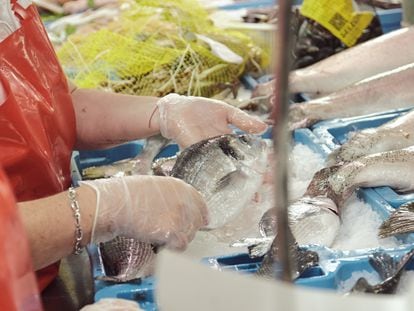 Gracias a la acuicultura, especies acuáticas como la lubina o la dorada se han democratizado. Su consumo está garantizado: se pueden comprar en los mercados durante todo el año.