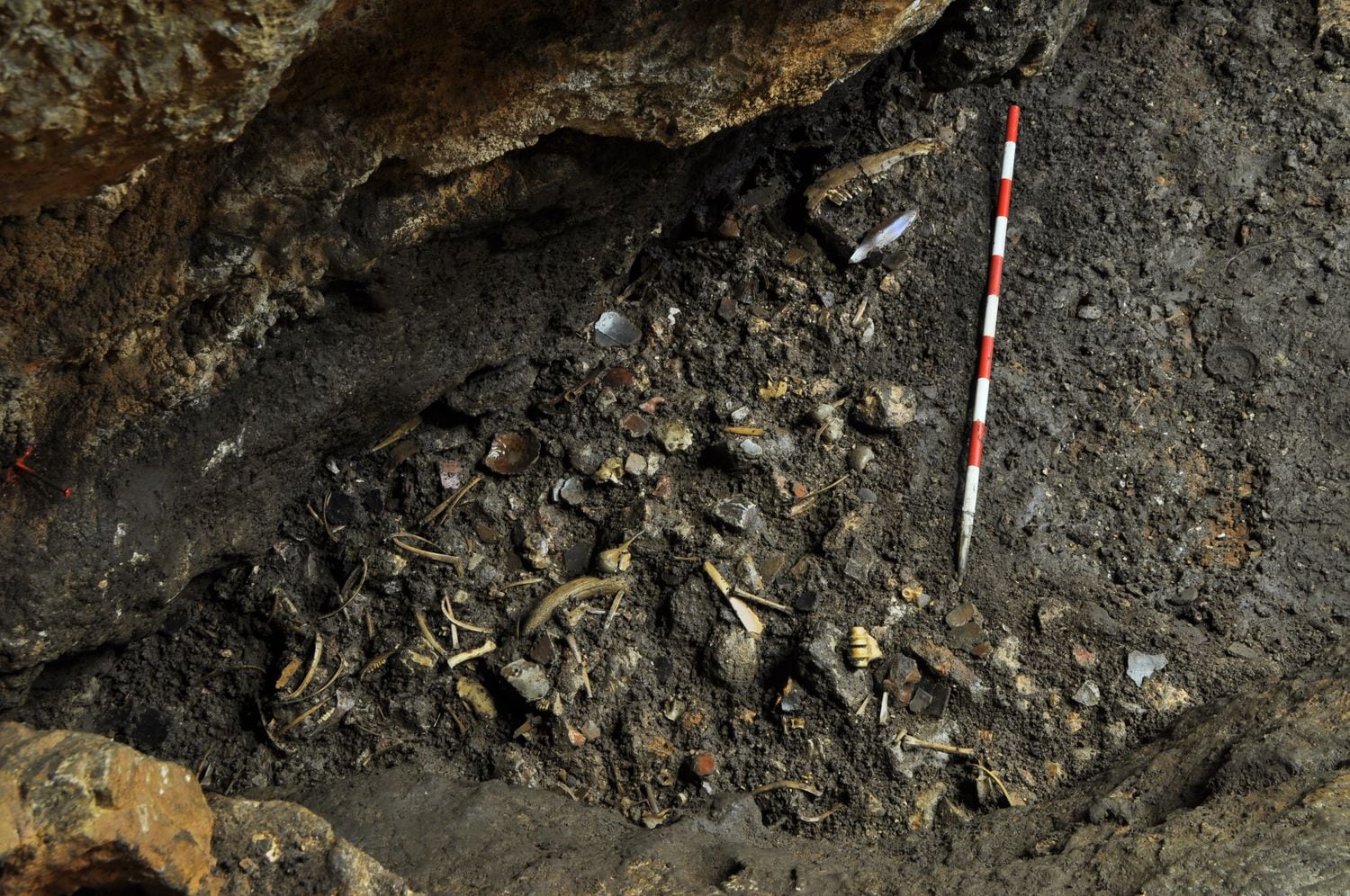 Restos óseos de los pastores neolíticos asesinados en la cueva de Els Trocs.