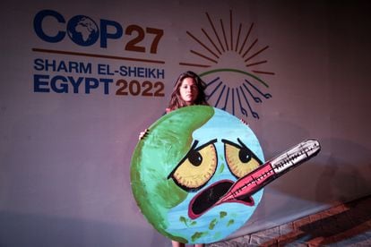 An activist at the climate summit held in Sharm el Sheikh, in Egypt.