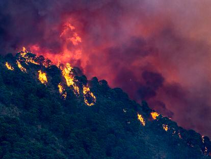 Vista del incendio forestal de Pujerra (Málaga), este jueves.