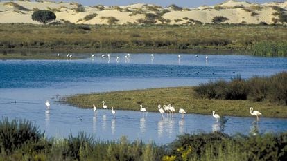 Parque Nacional de Doñana.