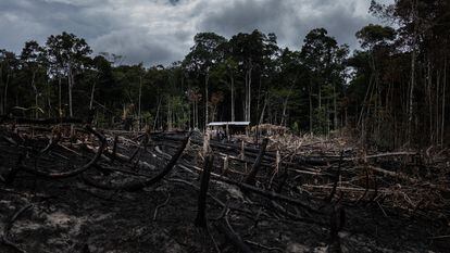Un área deforestada vista desde una carretera amazónica en Careiro Castanho (Brasil), en 2021.