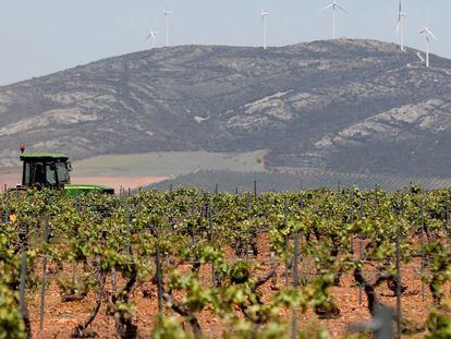 Un tractor recorre un viñedo en Villanueva de los Infantes (Ciudad Real). 