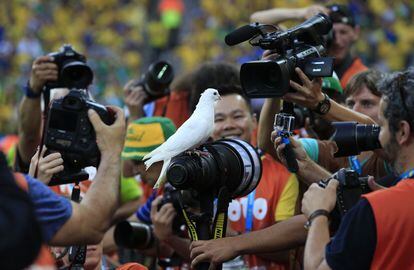 Una de las palomas lanzadas al aire durante la ceremonia de apertura de la Copa del Mundo, se posa en el objetivo de uno de los fotógrafos antes del partido entre las selecciones de Brasil y Croacia, el 12 de junio de 2014.