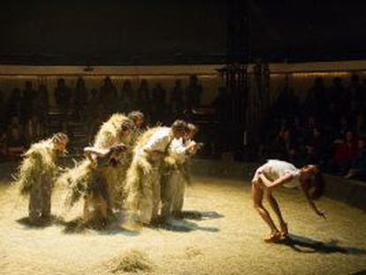 Caballos, periquitos y cuervos en escena