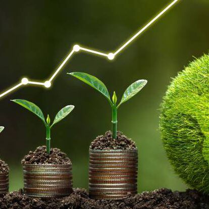 Inversión verde: pros y contras de una estrategia en revisión