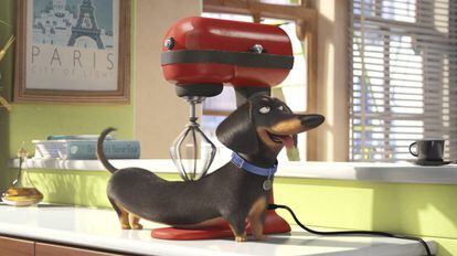 Escena de la película de animación 'Mascotas'.