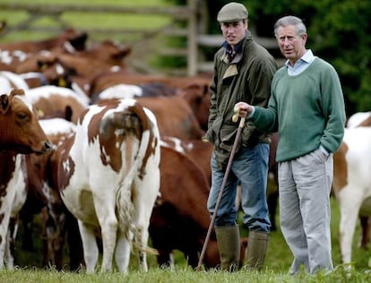 El príncipe Carlos de Inglaterra junto a su hijo Guillermo, en la granja de Gloucestershire, donde cultivan sus alimentos ecológicos.