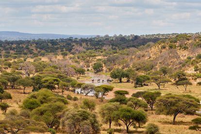 El Parque Nacional de Tarangire es el sexto en tamaño de Tanzania, y es conocido por sus baobabs, que pueden llegar a medir 30 metros de altura, así como por las manadas de elefantes que habitan allí. En la época seca, que acaba en octubre, atrae a una gran concentración de fauna silvestre del país, con especies como antílopes o jirafas.