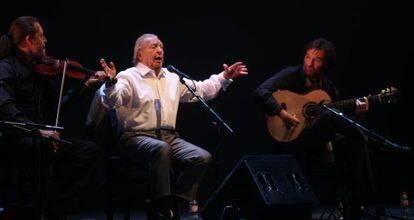 El Lebrijano, este domingo en un momento del espectáculo.
