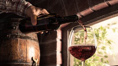 Máster en Enología. ¿Tienes titulación previa o experiencia laboral en el sector? Infórmate