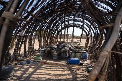 La estructura a base de ramas y palos entramados de una de las viviendas de los nómadas, listo para ser cubierto con esteras.