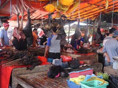 Murciélagos despiezados a la venta en un mercado en Indonesia.