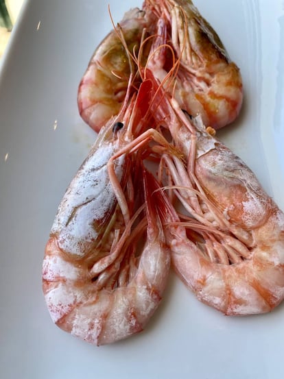 Gambas rojas de Menorca hervidas en agua de mar (primer término) y a la plancha. J.C. CAPEL