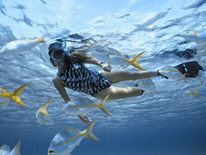 Una mujer bucea por el arrecife mesoamericano en el Caribe.