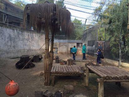 Personal del zoológico de Chile supervisan e lugar del incidente.