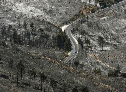 Poco ha quedado en pie tras los voraces incendios que han consumido miles de hectáreas en Grecia