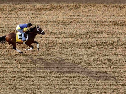 El caballo Optimizer calienta antes de que comiencen las carreras del Derby de Kentucky, en Estados Unidos.