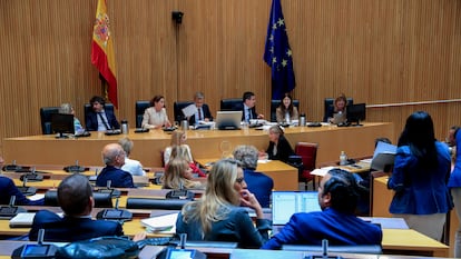 Reunión de la Comisión de Transportes, Movilidad y Agenda Urbana del Congreso de los Diputados.