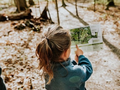 Una niña consulta en un papel el plano de un bosque.