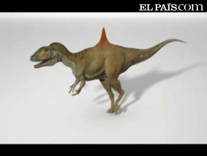 El dinosaurio Pepito, en movimiento