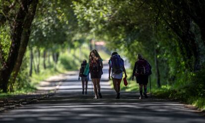 Un grupo de peregrinos durante una etapa del Camino de Santiago en Portomarino, este jueves.