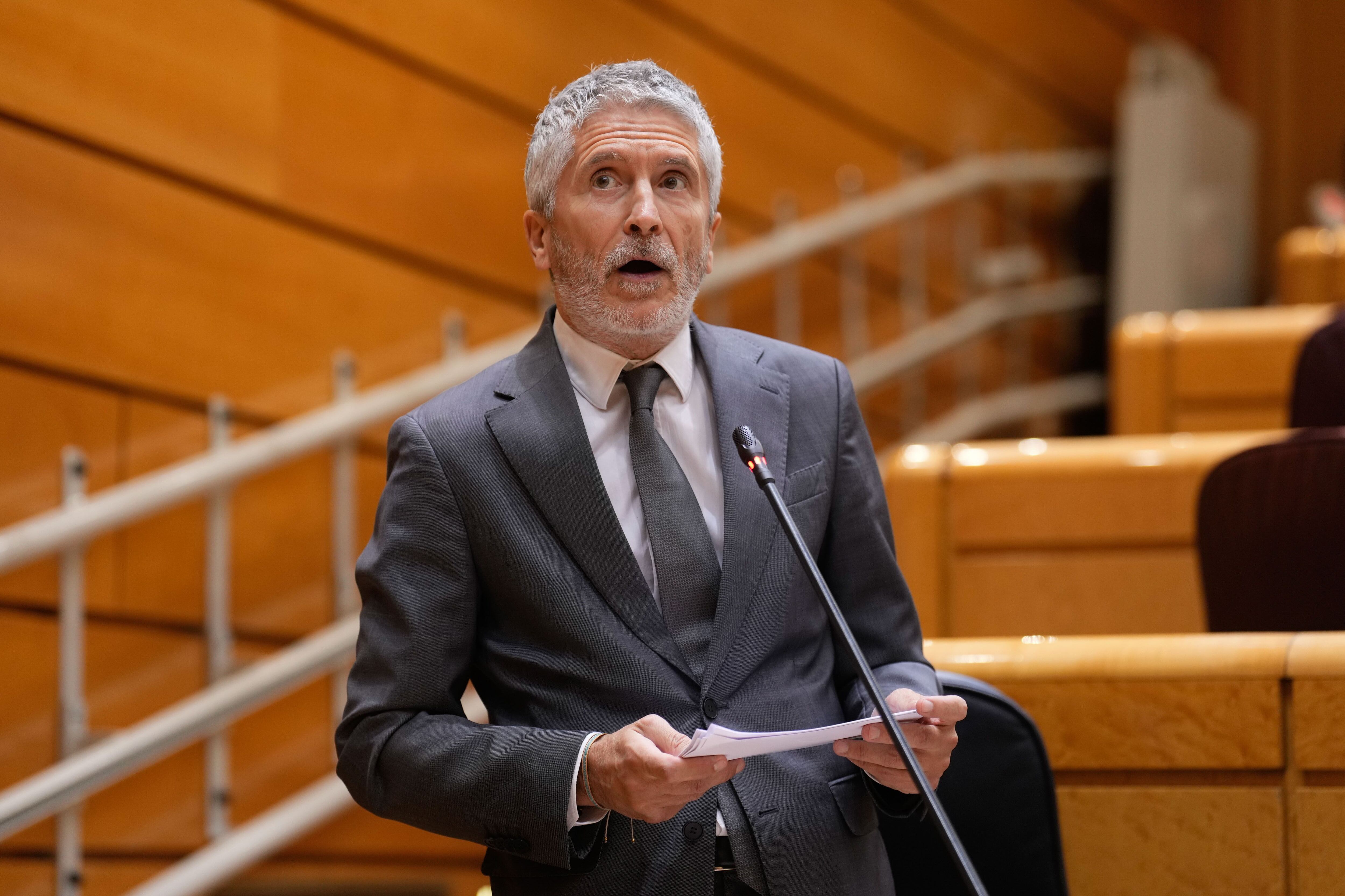 El ministro del Interior, Fernando Grande-Marlaska, participa en la sesión de control al Gobierno del pleno del Senado este martes, en Madrid. EFE/ Borja Sánchez-trillo
